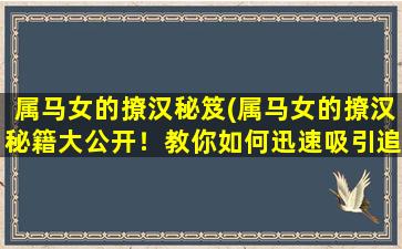 属马女的撩汉秘笈(属马女的撩汉秘籍大公开！教你如何迅速吸引追求者的注意！)