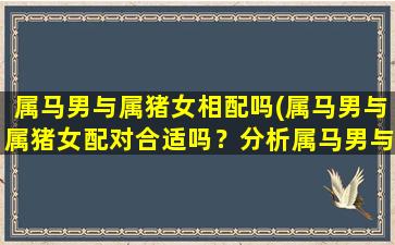 属马男与属猪女相配吗(属马男与属猪女配对合适吗？分析属马男与属猪女的性格、命运等因素，看看能否幸福长久！)