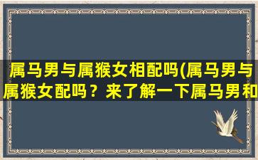 属马男与属猴女相配吗(属马男与属猴女配吗？来了解一下属马男和属猴女的性格和缘分！)