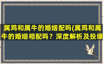 属鸡和属牛的婚姻配吗(属鸡和属牛的婚姻相配吗？深度解析及投缘指南)