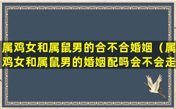 属鸡女和属鼠男的合不合婚姻（属鸡女和属鼠男的婚姻配吗会不会走到zui后）