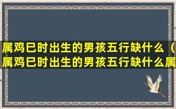 属鸡巳时出生的男孩五行缺什么（属鸡巳时出生的男孩五行缺什么属性）