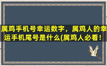 属鸡手机号幸运数字，属鸡人的幸运手机尾号是什么(属鸡人必看！幸运手机号尾号曝光，打造个性化数字尾号只为你！)