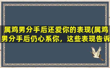 属鸡男分手后还爱你的表现(属鸡男分手后仍心系你，这些表现告诉你他还爱着你)