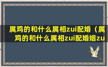 属鸡的和什么属相zui配婚（属鸡的和什么属相zui配婚姻zui合适女人）