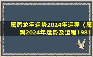 属鸡龙年运势2024年运程（属鸡2024年运势及运程1981年出生）