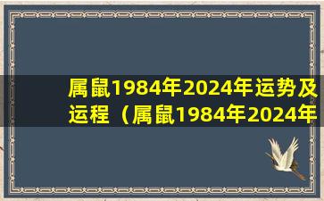 属鼠1984年2024年运势及运程（属鼠1984年2024年运势及运程大家找算命网）