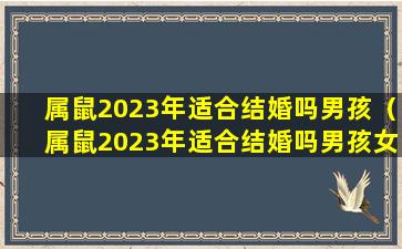 属鼠2023年适合结婚吗男孩（属鼠2023年适合结婚吗男孩女孩）