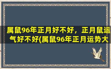 属鼠96年正月好不好，正月鼠运气好不好(属鼠96年正月运势大揭秘，走过年关如何招财纳福？)