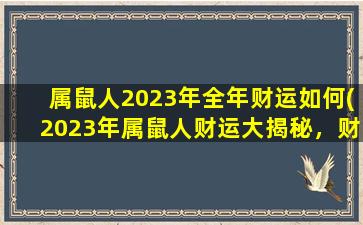 属鼠人2023年全年财运如何(2023年属鼠人财运大揭秘，财富加码速速囤起！)