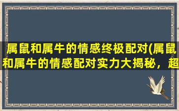 属鼠和属牛的情感终极配对(属鼠和属牛的情感配对实力大揭秘，超级适合的两个生肖！)