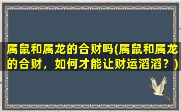 属鼠和属龙的合财吗(属鼠和属龙的合财，如何才能让财运滔滔？)