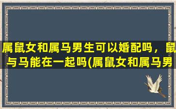 属鼠女和属马男生可以婚配吗，鼠与马能在一起吗(属鼠女和属马男的婚姻可行吗？鼠和马能够兼容吗)