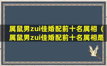 属鼠男zui佳婚配前十名属相（属鼠男zui佳婚配前十名属相是什么）