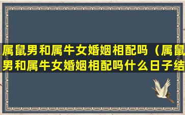 属鼠男和属牛女婚姻相配吗（属鼠男和属牛女婚姻相配吗什么日子结婚）