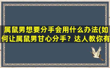 属鼠男想要分手会用什么办法(如何让属鼠男甘心分手？达人教你有效方法)