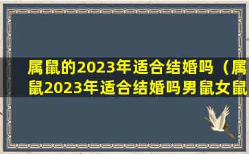 属鼠的2023年适合结婚吗（属鼠2023年适合结婚吗男鼠女鼠）