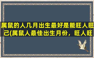 属鼠的人几月出生最好是能旺人旺己(属鼠人最佳出生月份，旺人旺己，事业稳步发展)