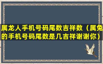 属龙人手机号码尾数吉祥数（属兔的手机号码尾数是几吉祥谢谢你）