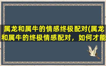 属龙和属牛的情感终极配对(属龙和属牛的终极情感配对，如何才能诠释深厚的亲情和爱情？)