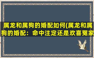 属龙和属狗的婚配如何(属龙和属狗的婚配：命中注定还是欢喜冤家？)