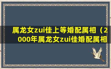 属龙女zui佳上等婚配属相（2000年属龙女zui佳婚配属相男是什么）