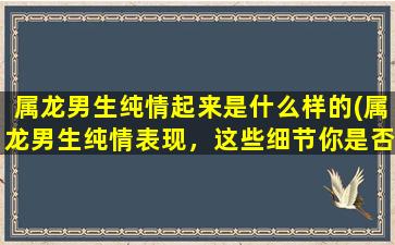 属龙男生纯情起来是什么样的(属龙男生纯情表现，这些细节你是否了解？)