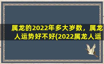 属龙的2022年多大岁数，属龙人运势好不好(2022属龙人运势大揭秘，好坏难辨！)