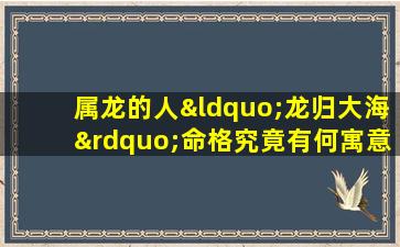 属龙的人“龙归大海”命格究竟有何寓意