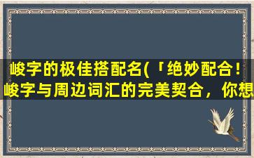 峻字的极佳搭配名(「绝妙配合！峻字与周边词汇的完美契合，你想不到的惊艳组合」)