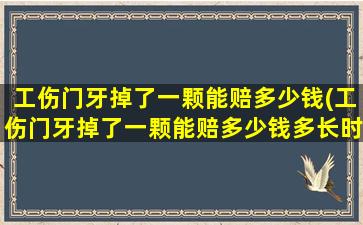 工伤门牙掉了一颗能赔多少钱(工伤门牙掉了一颗能赔多少钱多长时间能赔付)