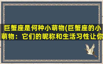 巨蟹座是何种小萌物(巨蟹座的小萌物：它们的昵称和生活习性让你会心一笑！)