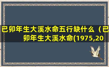 已卯年生大溪水命五行缺什么（已卯年生大溪水命(1975,2035)）