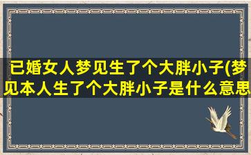 已婚女人梦见生了个大胖小子(梦见本人生了个大胖小子是什么意思)