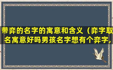 带弈的名字的寓意和含义（弈字取名寓意好吗男孩名字想有个弈字,不）