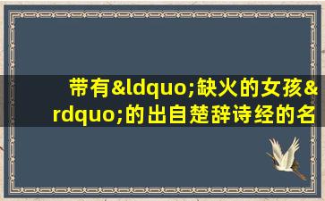 带有“缺火的女孩”的出自楚辞诗经的名字，如何从唐诗宋词中选取