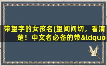 带望字的女孩名(望闻问切，看清楚！中文名必备的带“望”字女孩名单)