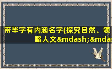 带毕字有内涵名字(探究自然、领略人文——毕家岗风景区详细介绍)