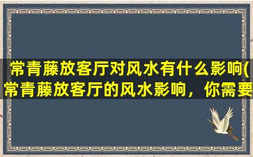 常青藤放客厅对风水有什么影响(常青藤放客厅的风水影响，你需要知道的事项！)