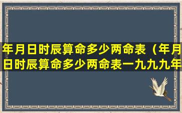 年月日时辰算命多少两命表（年月日时辰算命多少两命表一九九九年是什么年）