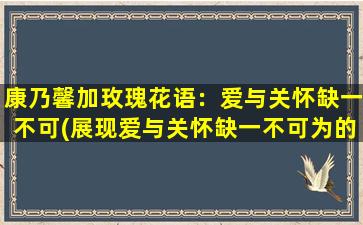 康乃馨加玫瑰花语：爱与关怀缺一不可(展现爱与关怀缺一不可为的花语：康乃馨加玫瑰)