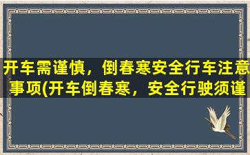 开车需谨慎，倒春寒安全行车注意事项(开车倒春寒，安全行驶须谨慎注意！)