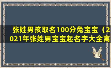 张姓男孩取名100分兔宝宝（2021年张姓男宝宝起名字大全寓意好）