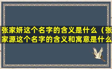 张家妍这个名字的含义是什么（张家源这个名字的含义和寓意是什么）