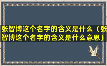 张智博这个名字的含义是什么（张智博这个名字的含义是什么意思）