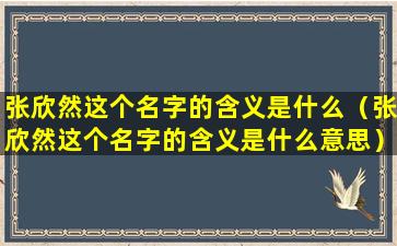 张欣然这个名字的含义是什么（张欣然这个名字的含义是什么意思）