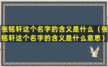 张铭轩这个名字的含义是什么（张铭轩这个名字的含义是什么意思）