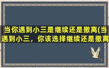 当你遇到小三是继续还是撤离(当遇到小三，你该选择继续还是撤离？探讨zui佳应对策略)