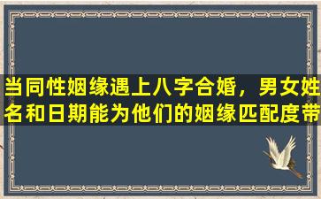 当同性姻缘遇上八字合婚，男女姓名和日期能为他们的姻缘匹配度带来怎样的影响