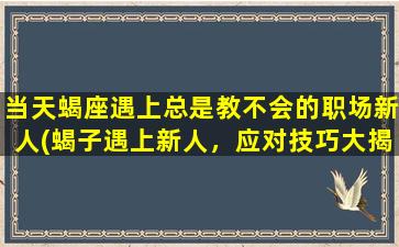 当天蝎座遇上总是教不会的职场新人(蝎子遇上新人，应对技巧大揭密！)